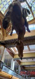 20230909_121451133_pasaz lucerna.jpg