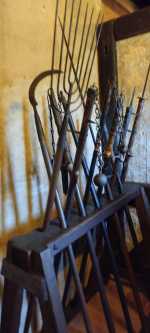 20230908_142935041_ zlota ulica.jpg