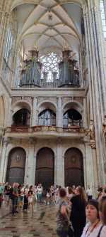 20230908_131035579_katedra sw vita.jpg